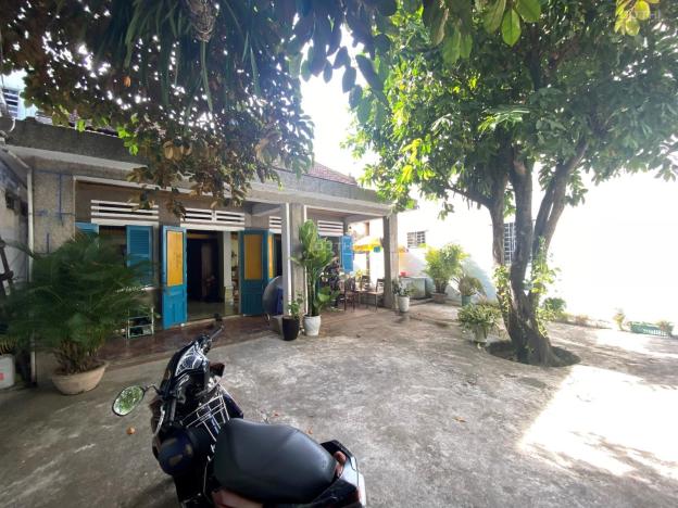 3995374 ảnh đại diện 1