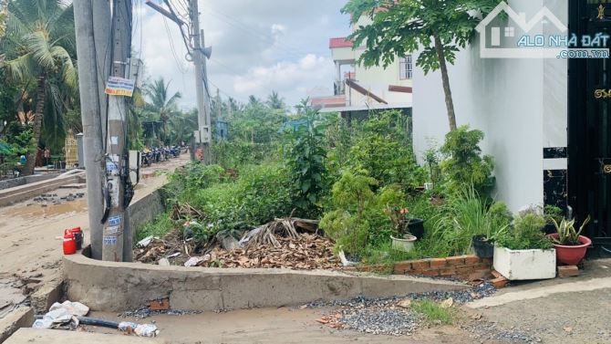 3994948 ảnh đại diện 2