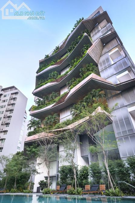 3994331 ảnh đại diện 1