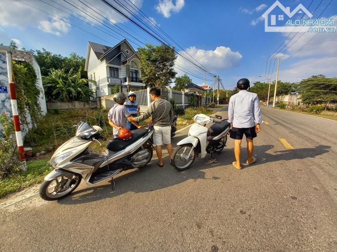 3994515 ảnh đại diện 2