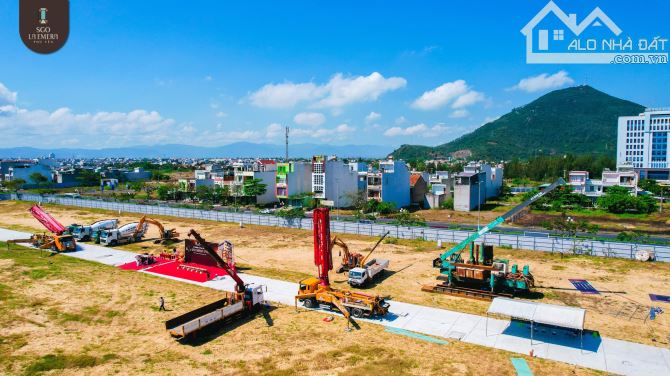 3995723 ảnh đại diện 1