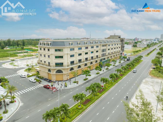 3995727 ảnh đại diện 1