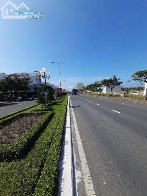 3995727 ảnh đại diện 1