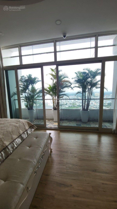3995679 ảnh đại diện 1