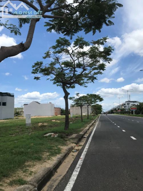 3995727 ảnh đại diện 2
