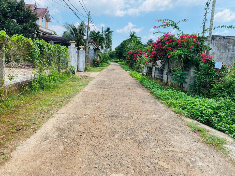 3993554 ảnh đại diện 1