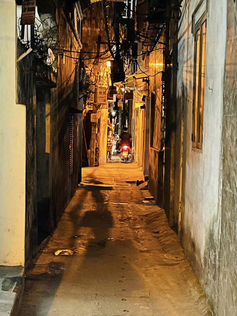 3995232 ảnh đại diện 1