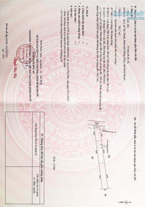 3994506 ảnh đại diện 1