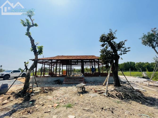 3994856 ảnh đại diện 1