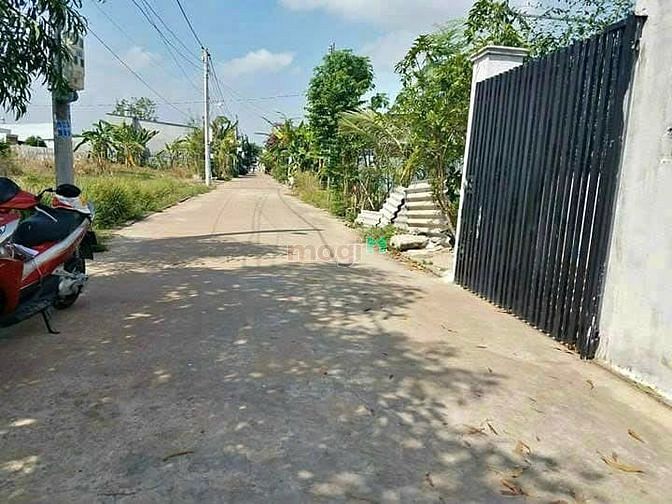 3999819 ảnh đại diện 2