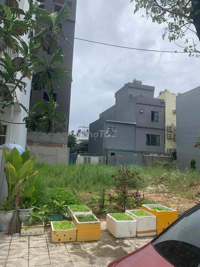 3997855 ảnh đại diện 1