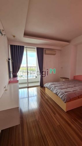 3997582 ảnh đại diện 2