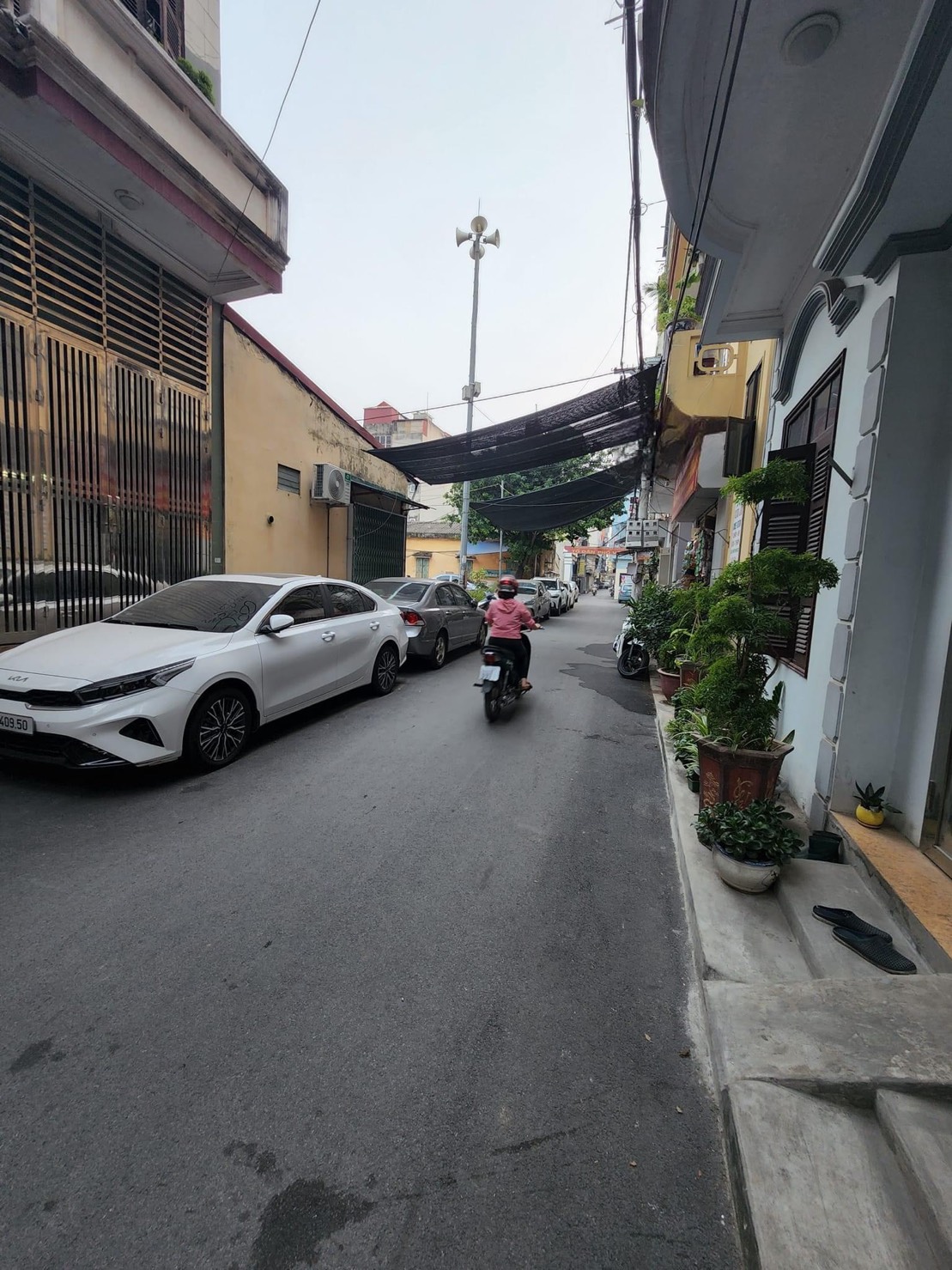 3997355 ảnh đại diện 1