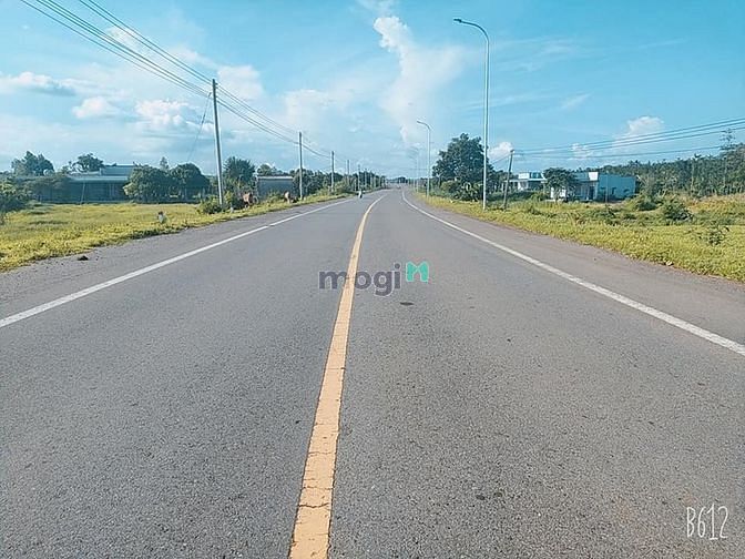3999819 ảnh đại diện 1