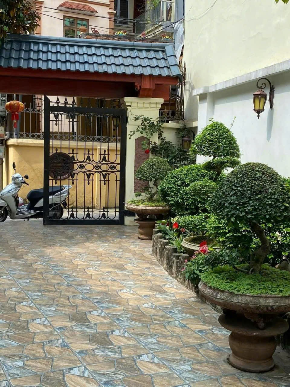 3998545 ảnh đại diện 1