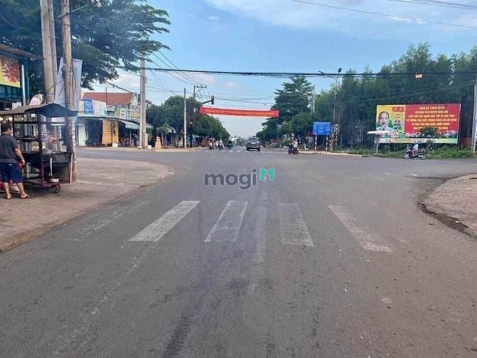 3999819 ảnh đại diện 1