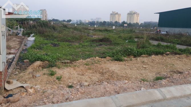 3997698 ảnh đại diện 1