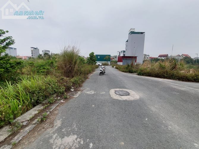 3997698 ảnh đại diện 2