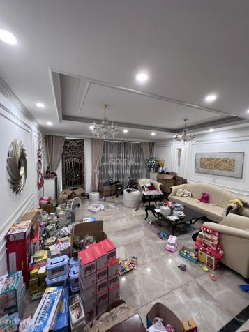 3999260 ảnh đại diện 2