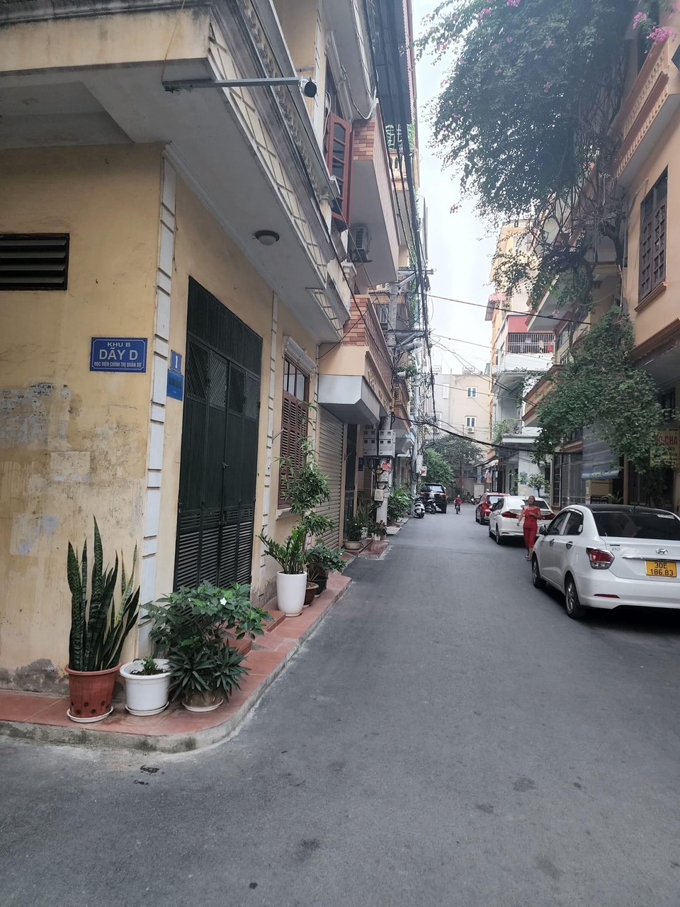 3997238 ảnh đại diện 2