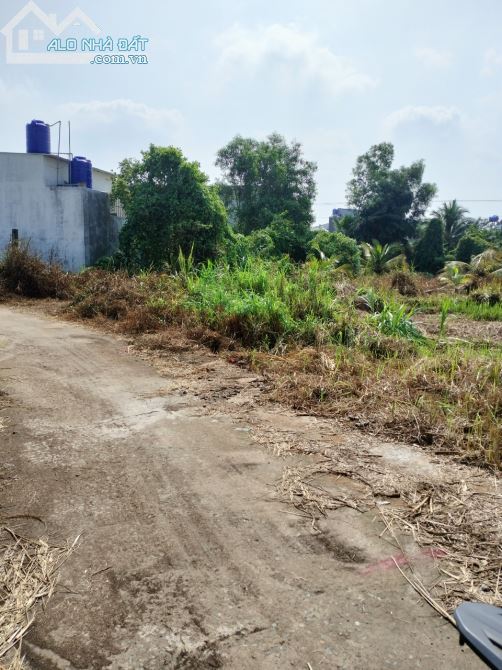 4000618 ảnh đại diện 1