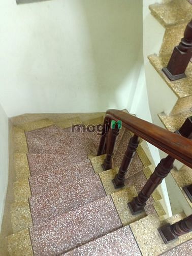4002209 ảnh đại diện 2