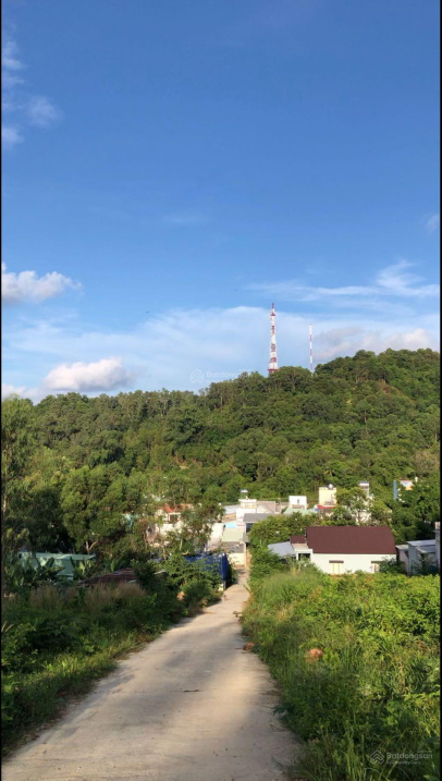 4001716 ảnh đại diện 1