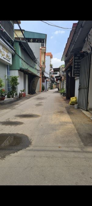 4000665 ảnh đại diện 1