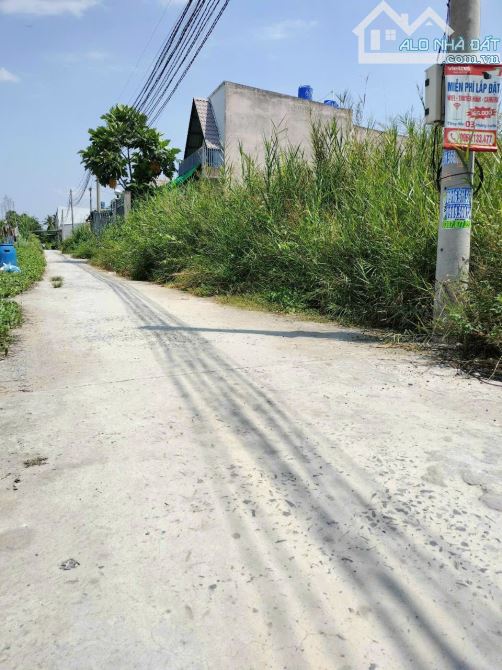 4000625 ảnh đại diện 1