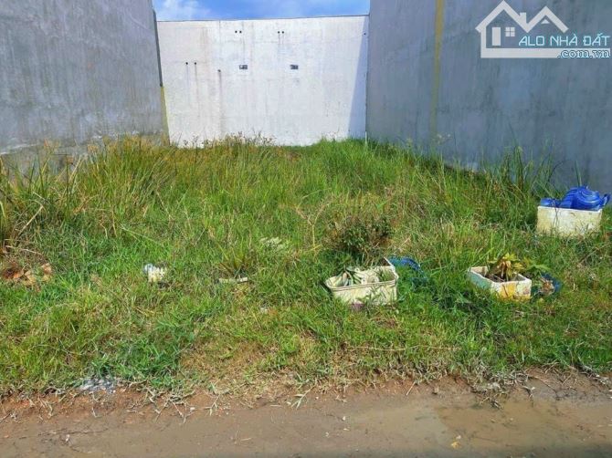 4000625 ảnh đại diện 1