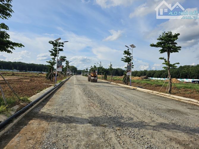 4001307 ảnh đại diện 1