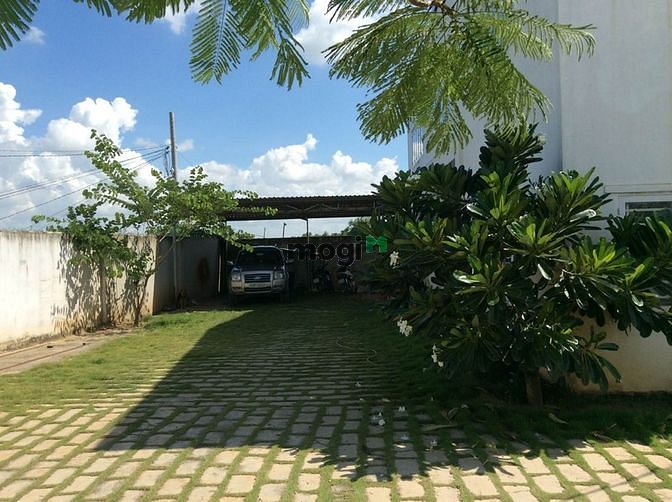 4002936 ảnh đại diện 2