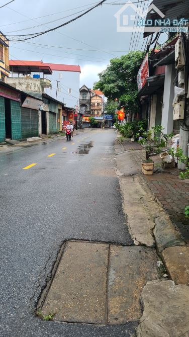 4000665 ảnh đại diện 1