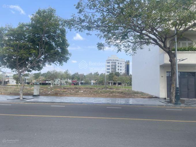 4002226 ảnh đại diện 1