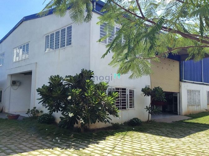 4002936 ảnh đại diện 1