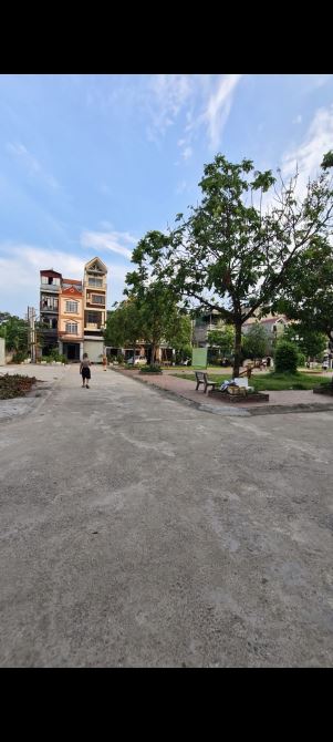 4000665 ảnh đại diện 2