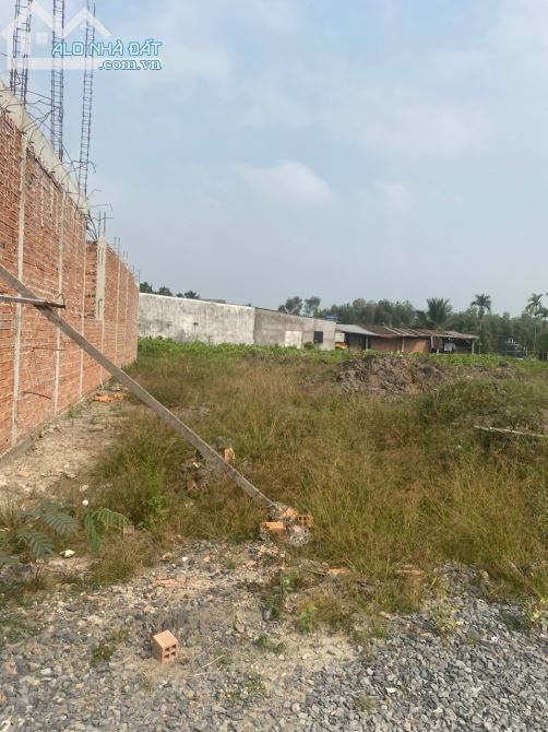 4000623 ảnh đại diện 1