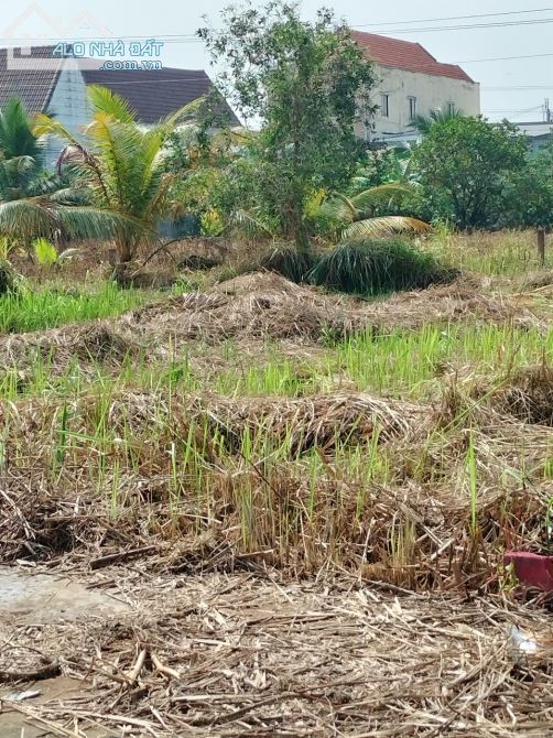 4000618 ảnh đại diện 1
