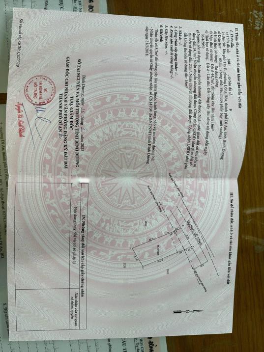 4000919 ảnh đại diện 1