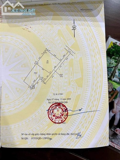 4003408 ảnh đại diện 1