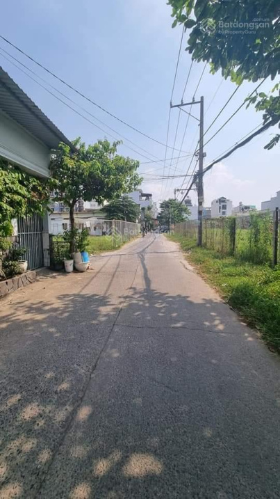 4004700 ảnh đại diện 1