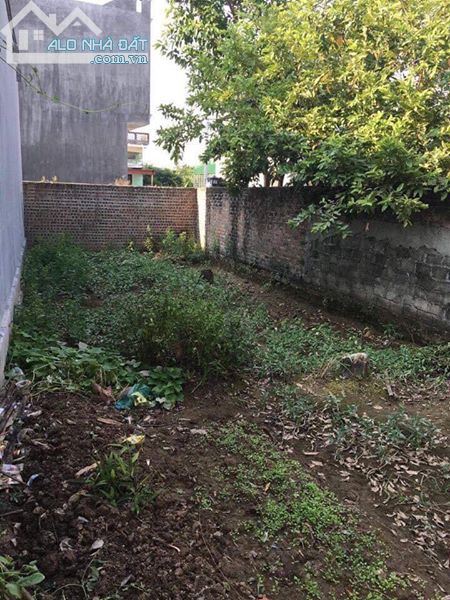 4003408 ảnh đại diện 1