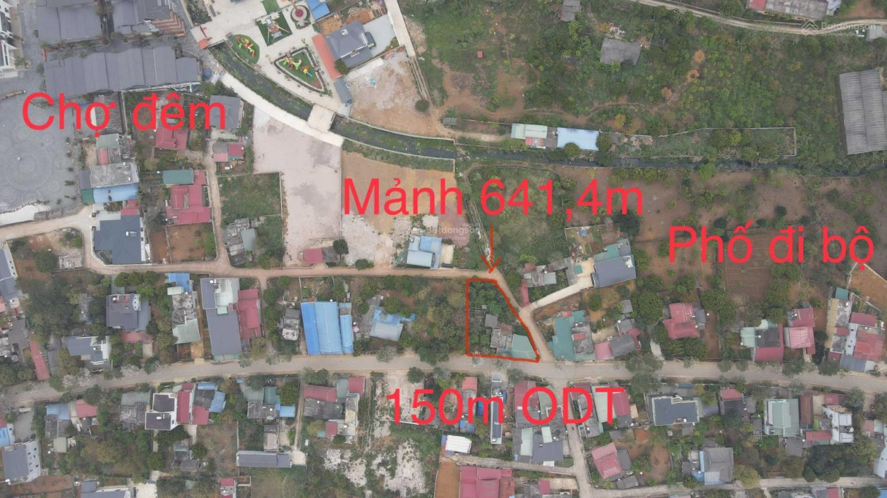 4001446 ảnh đại diện 1
