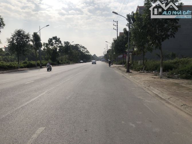 4004250 ảnh đại diện 1