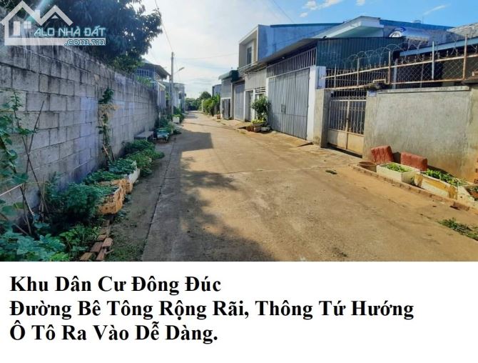 4007929 ảnh đại diện 1