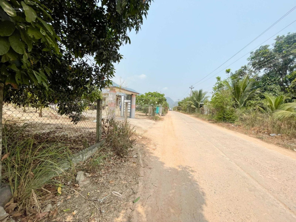 4008100 ảnh đại diện 2