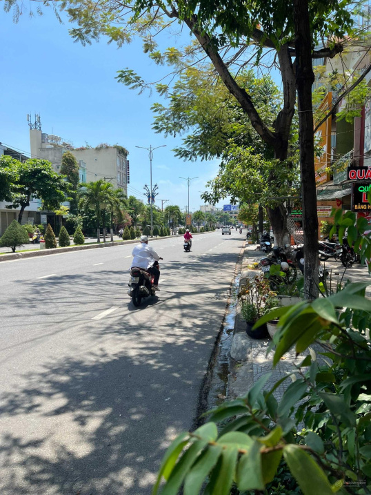 4008635 ảnh đại diện 2