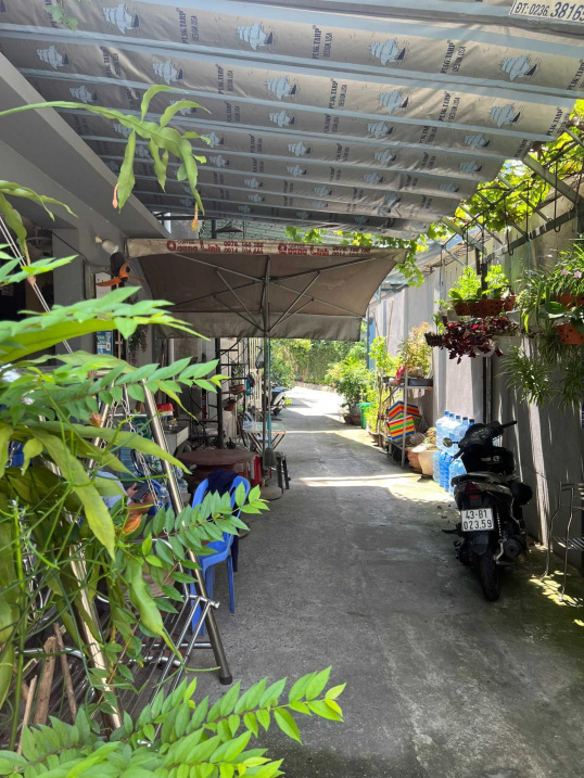 4008635 ảnh đại diện 1