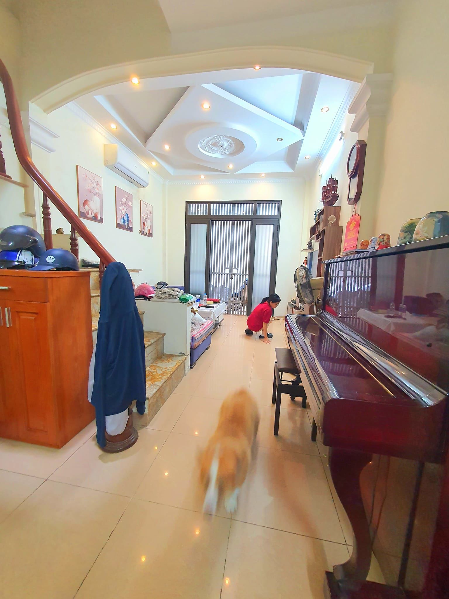 4007833 ảnh đại diện 1