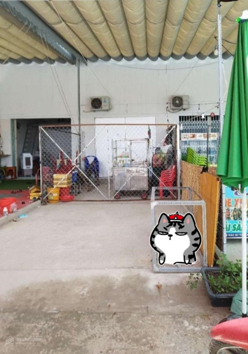 4006269 ảnh đại diện 2